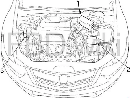 2009-2014 Acura TSX 2.4L Fuse Box Location