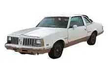 1978-1980 Pontiac Grand Am